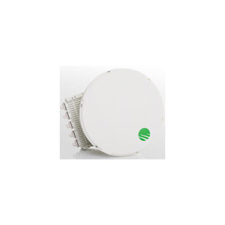 Initial Capacity License 10000Mbps (10Gbps) for